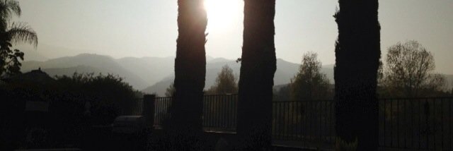 Jacquie Prebich banner