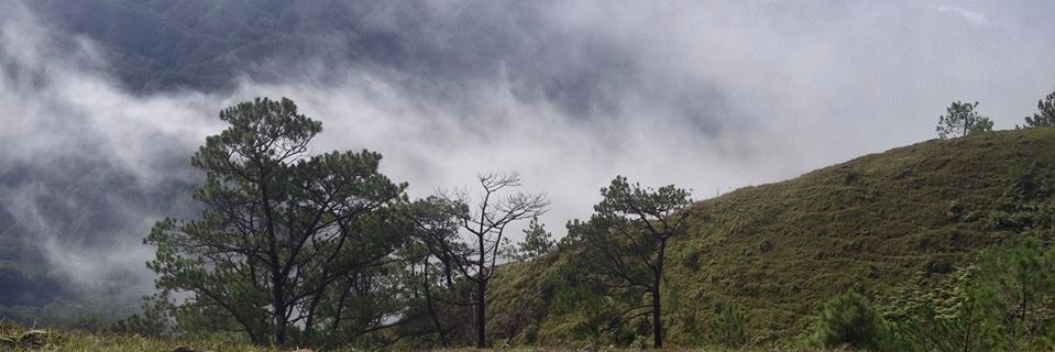 harooold21's profile banner image