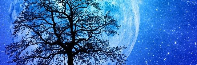 Marleen. banner