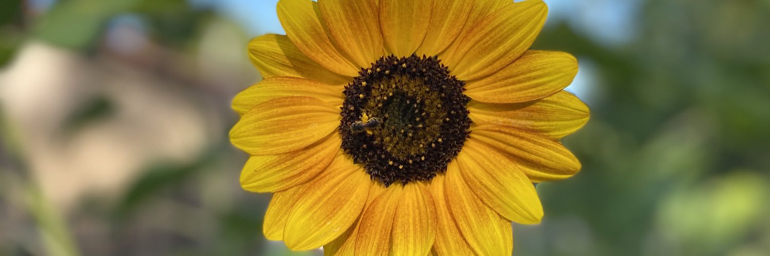 ashlee2427's profile banner image