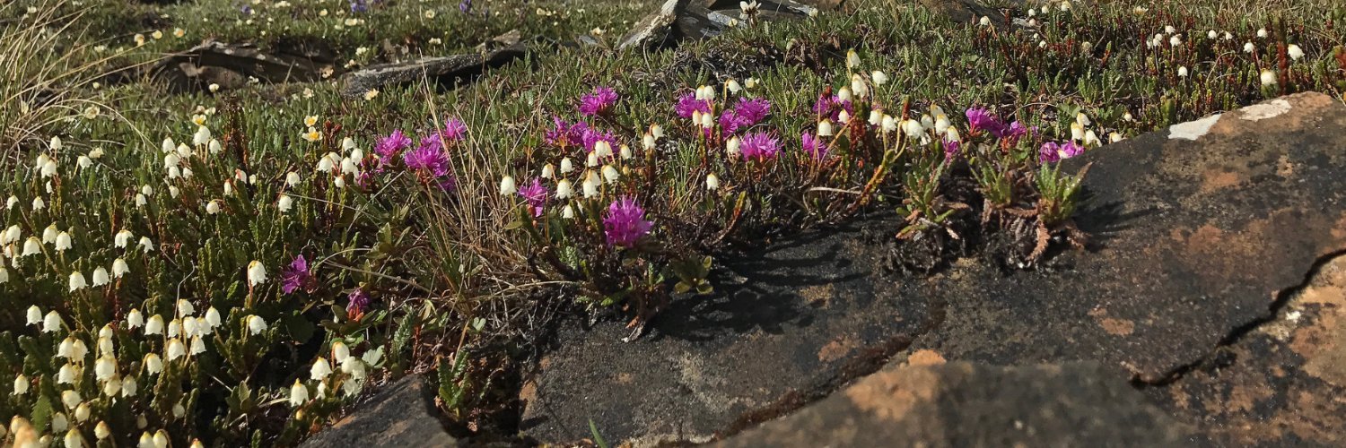 BLM Alaska banner
