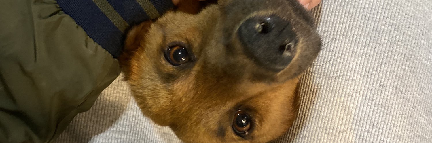 𝒄𝒆𝒍𝒂𝒚𝒆𝒔 banner