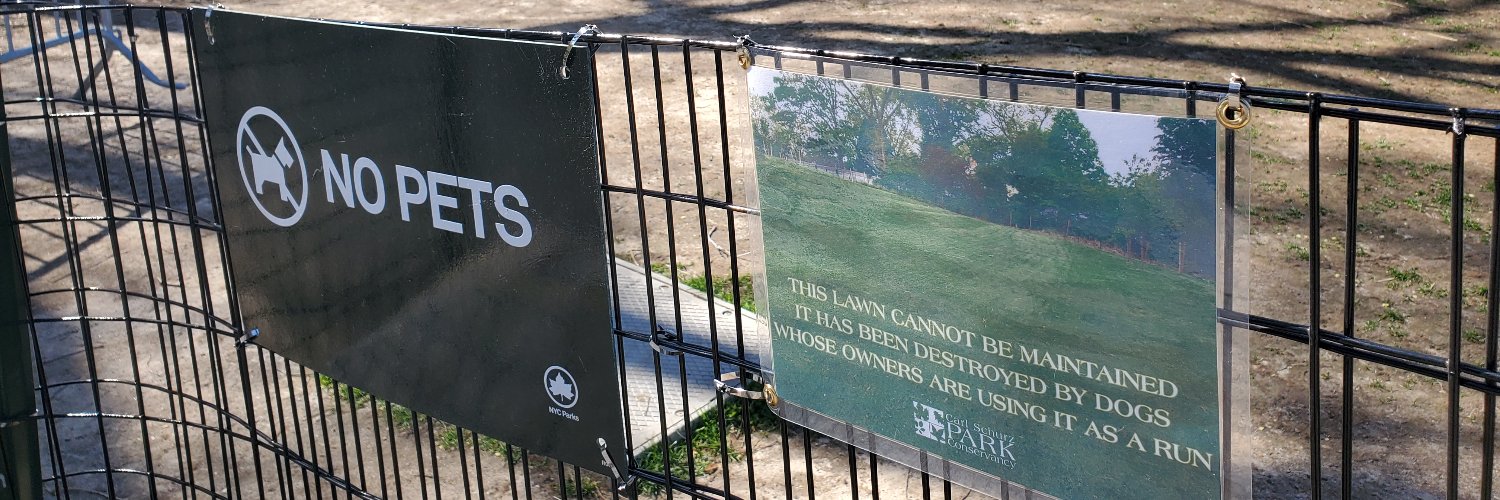 Nicholas Poggioli banner