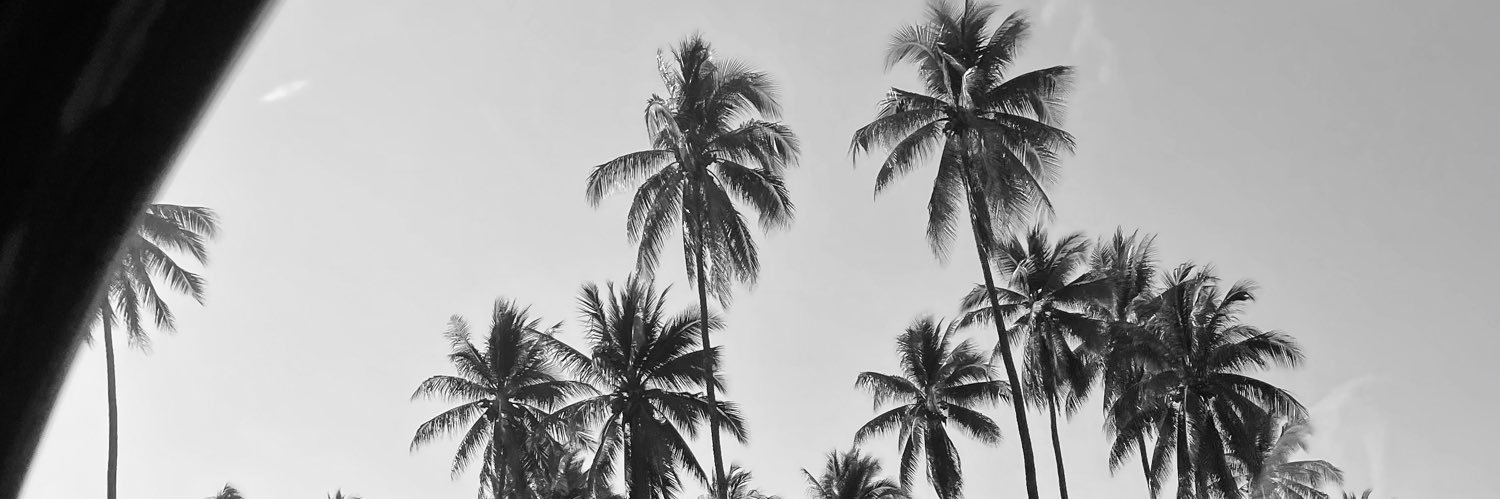 la_marisol_'s profile banner image