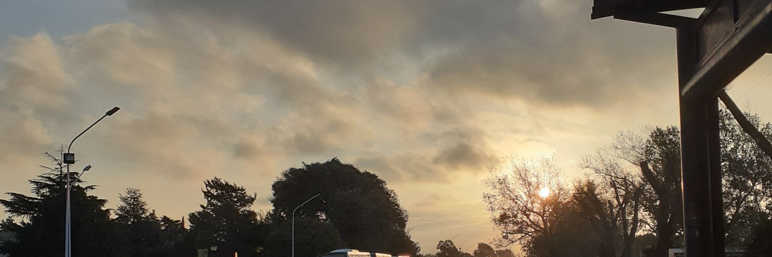 lozaagos1's profile banner image