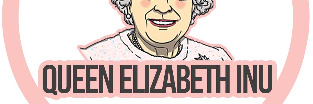 QElizabethBSC's profile banner image