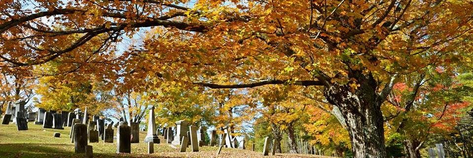 foliagecentral's profile banner image