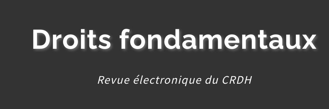 Droits Fondamentaux banner
