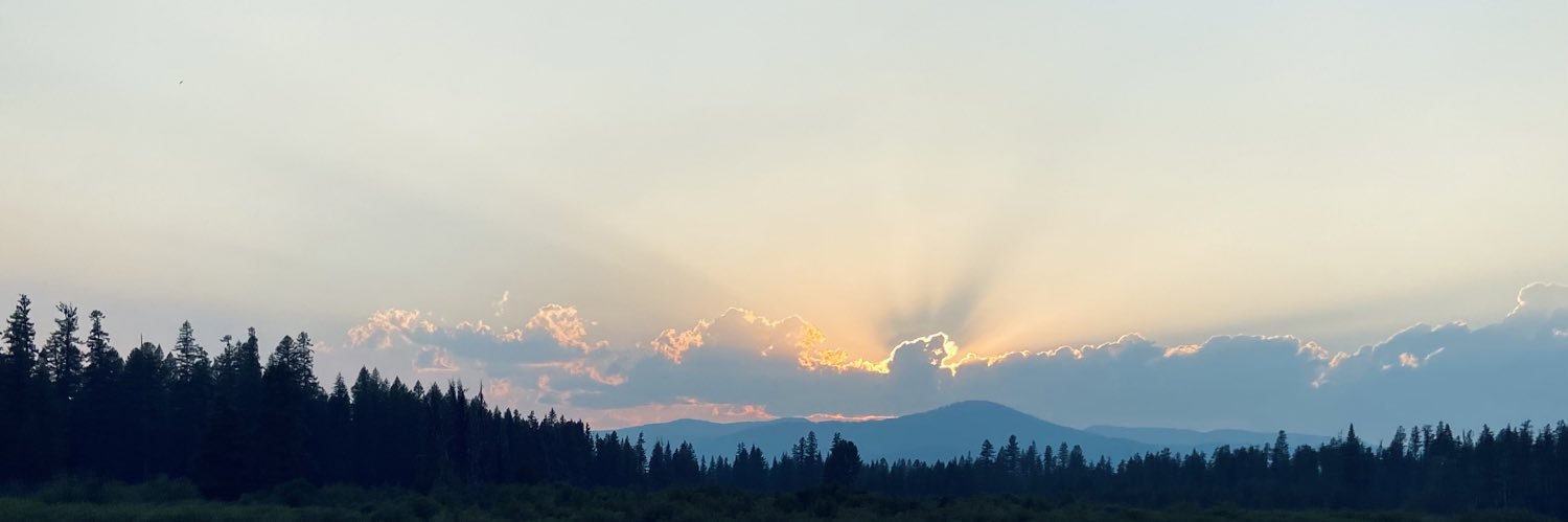 addie__5's profile banner image