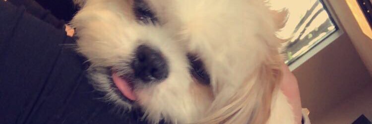 Lunas_Papi's profile banner image