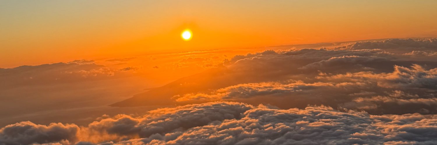 Tummyhawk's profile banner image