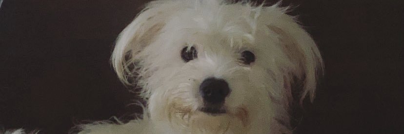 RubiRoman5's profile banner image