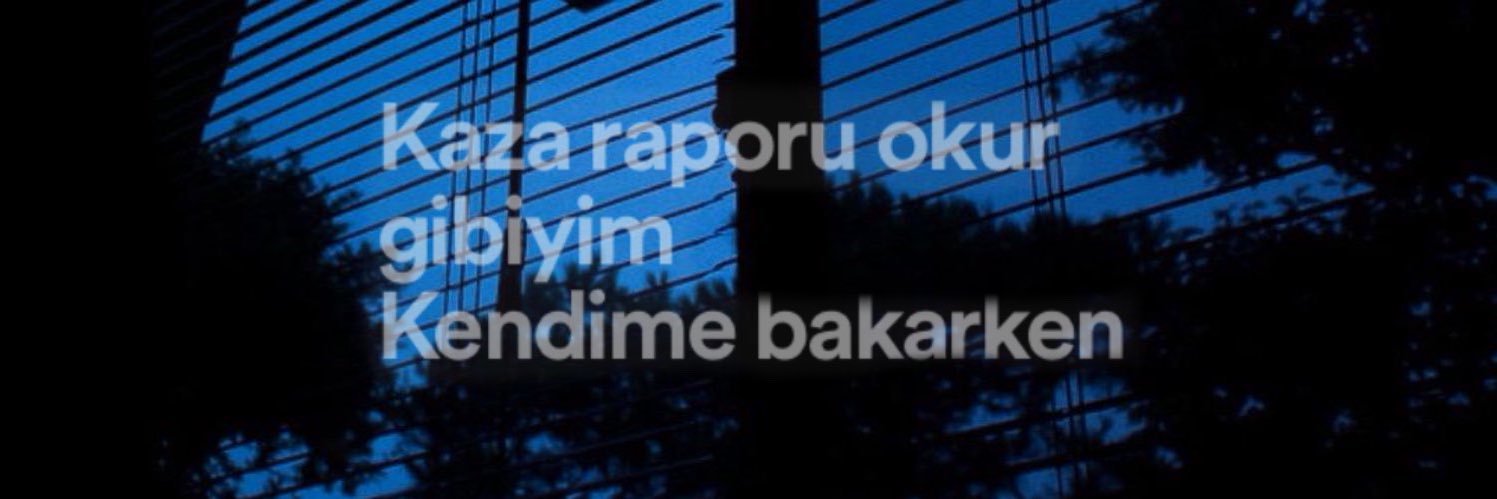 thevenus_'s profile banner image