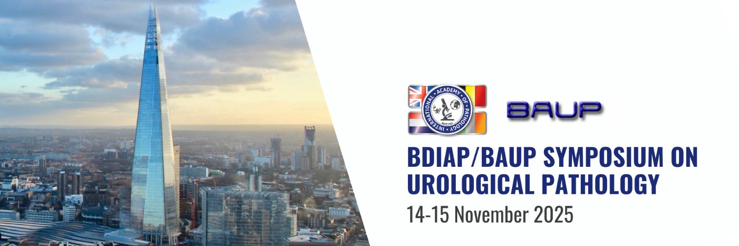 BDIAP's banner