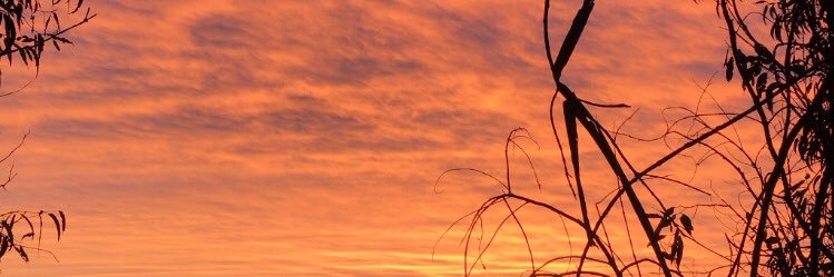 luciadesejas's profile banner image