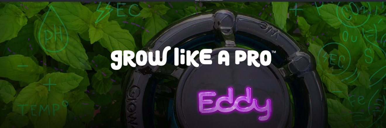 eddygrows's profile banner image