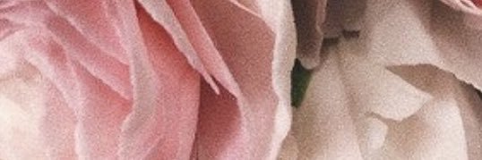 Edanielle_b's profile banner image