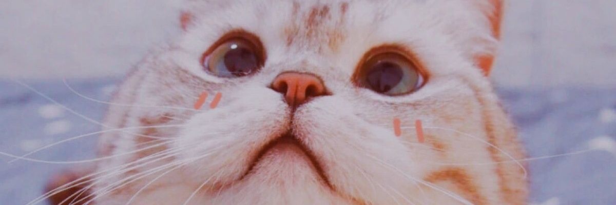 bxtterswxxt's profile banner image