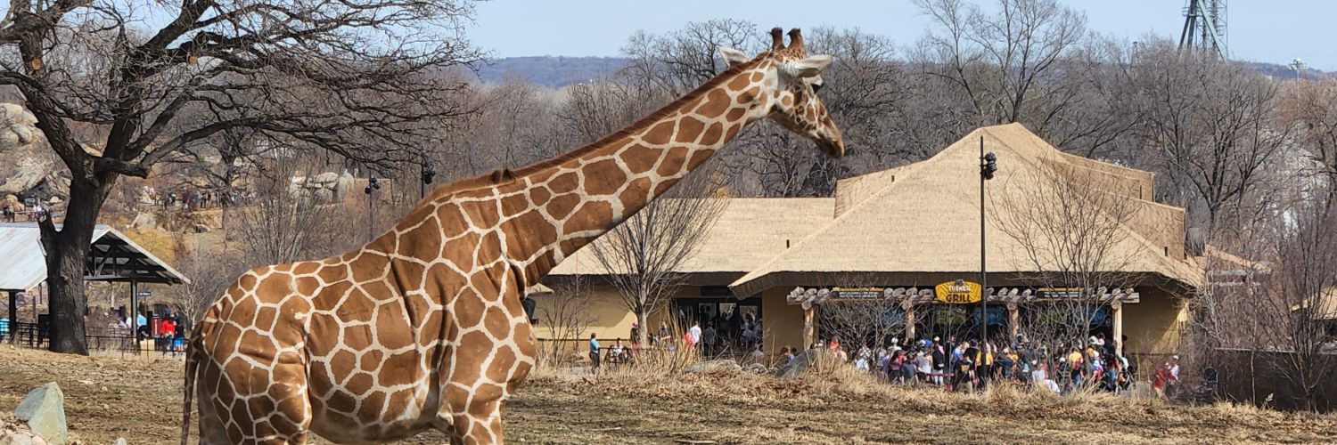 GiraffesGoQuack's profile banner image