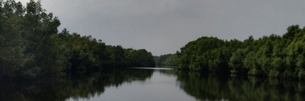 Nuetey Profile Banner