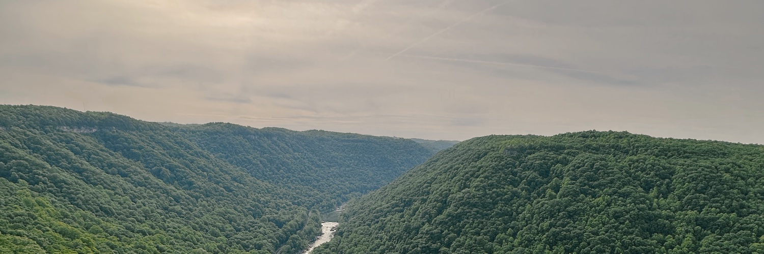 ngv2's profile banner image