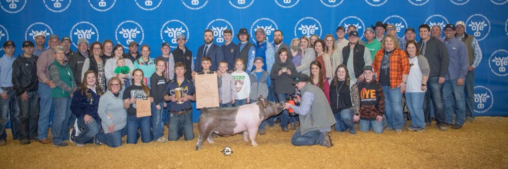 hilty_showpigs's profile banner image