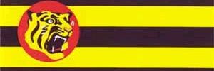 hitoshidasu's profile banner image