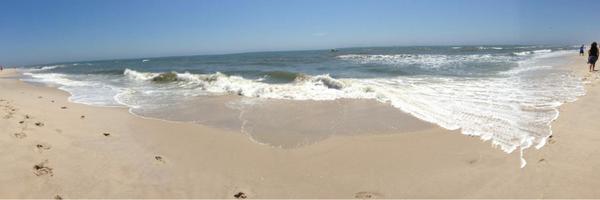 mfarsi2 Profile Banner