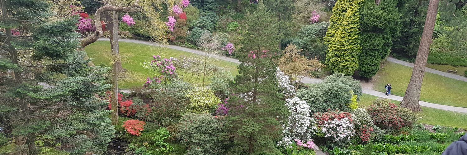 SherleenJones's profile banner image