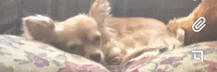 TRACEY MARTIN banner