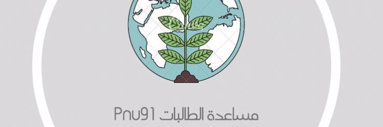 PNU91's profile banner image