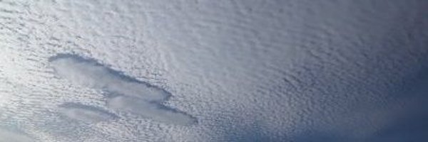 selvanegra400 Profile Banner