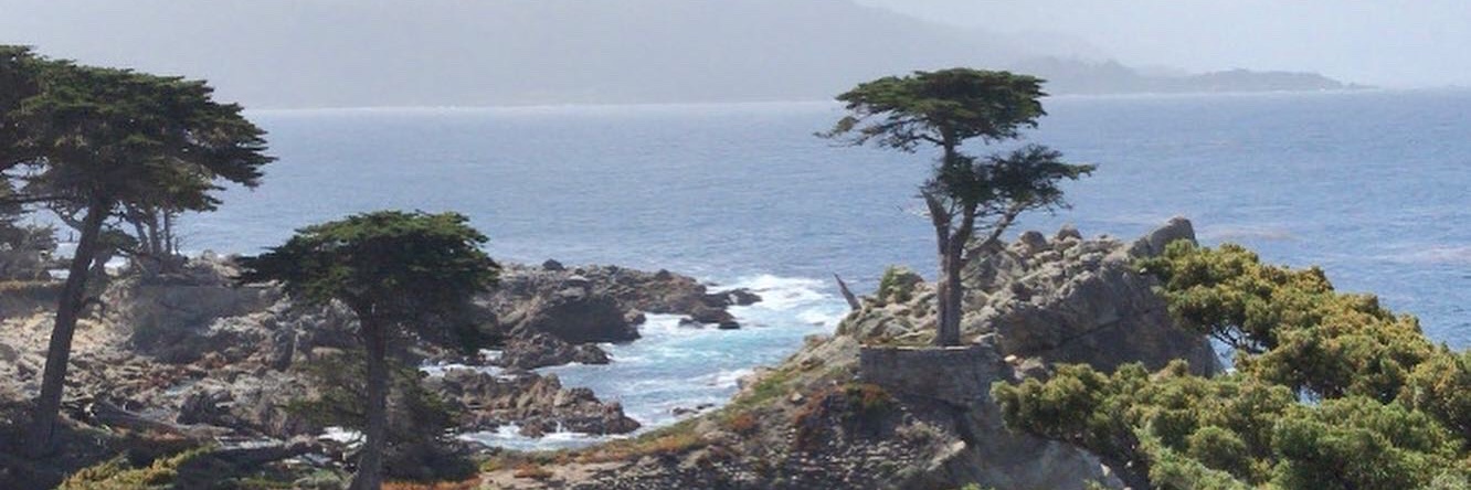 _anna____maria_'s profile banner image