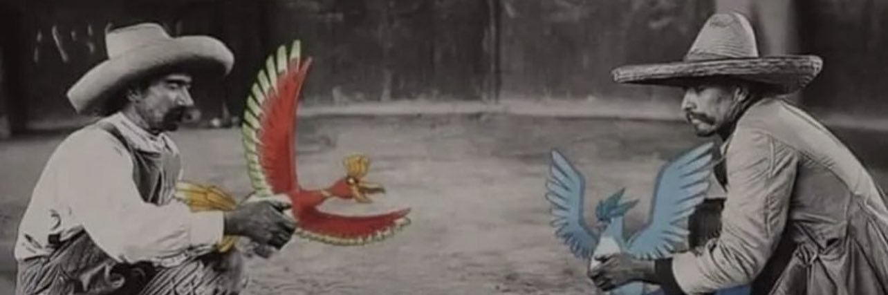 HispanicBlanket's profile banner image