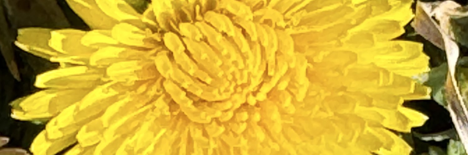 stanley lines banner