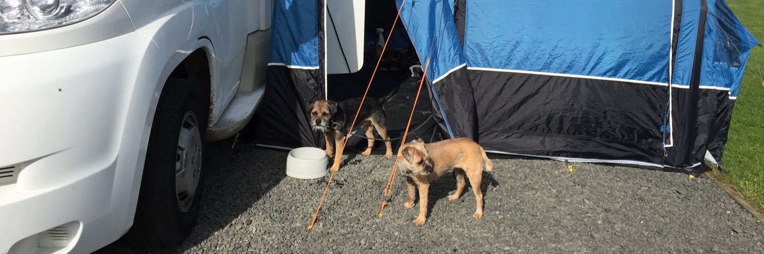 Maj, Jorj and Charlie banner