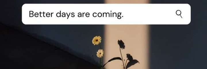 mstimbal's profile banner image