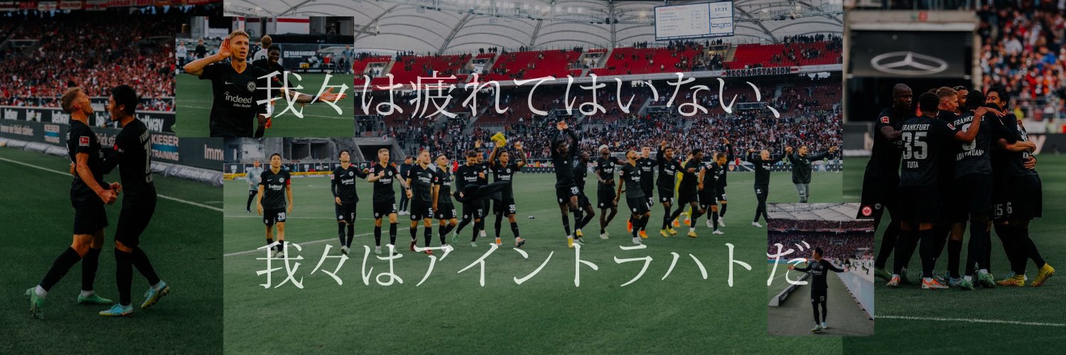 しおん🦅 banner