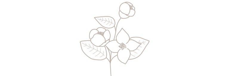 mar3_222's profile banner image