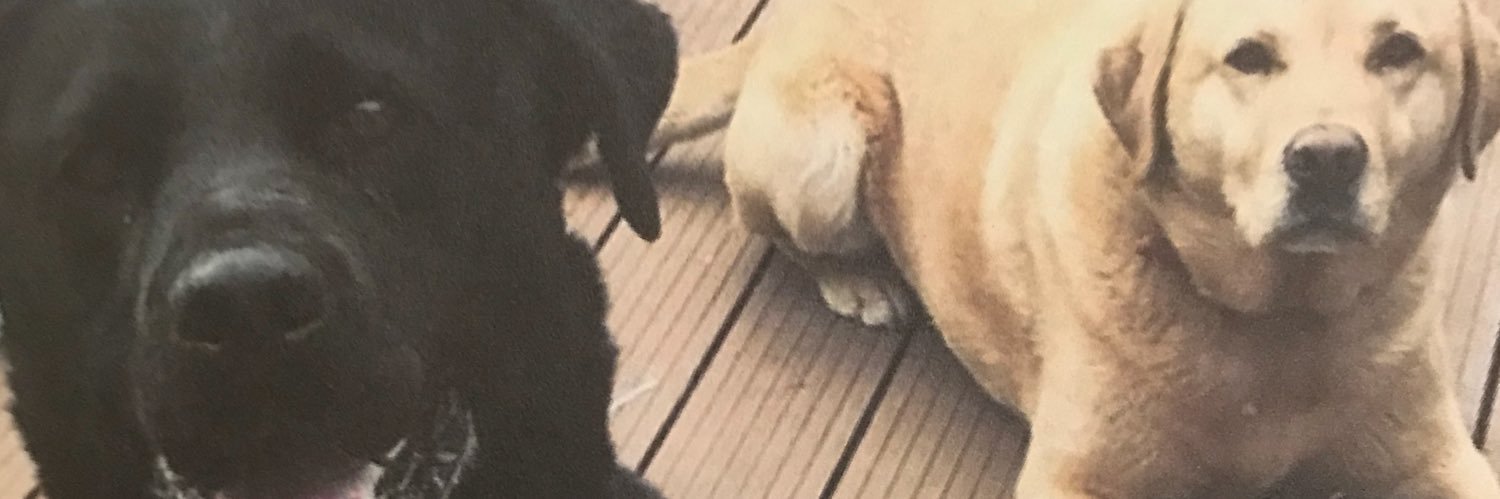 Ciaraocon's profile banner image