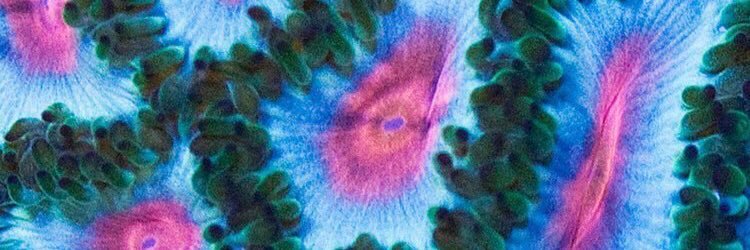 karlaarp's profile banner image