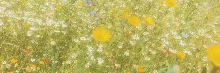 kczuha's profile banner image