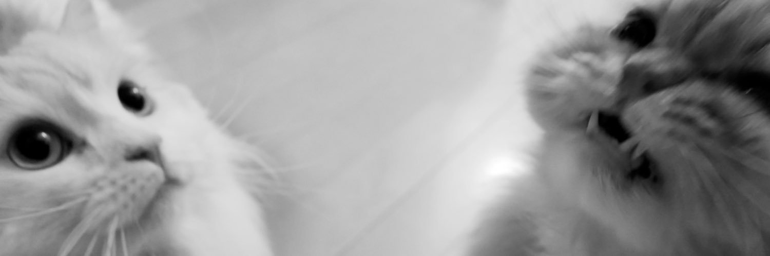 あおぐみあおい banner