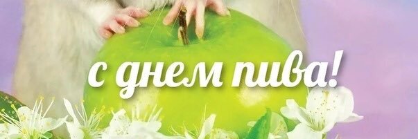 mikhailcrane's profile banner image