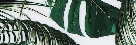 HighsmithLilly's profile banner image