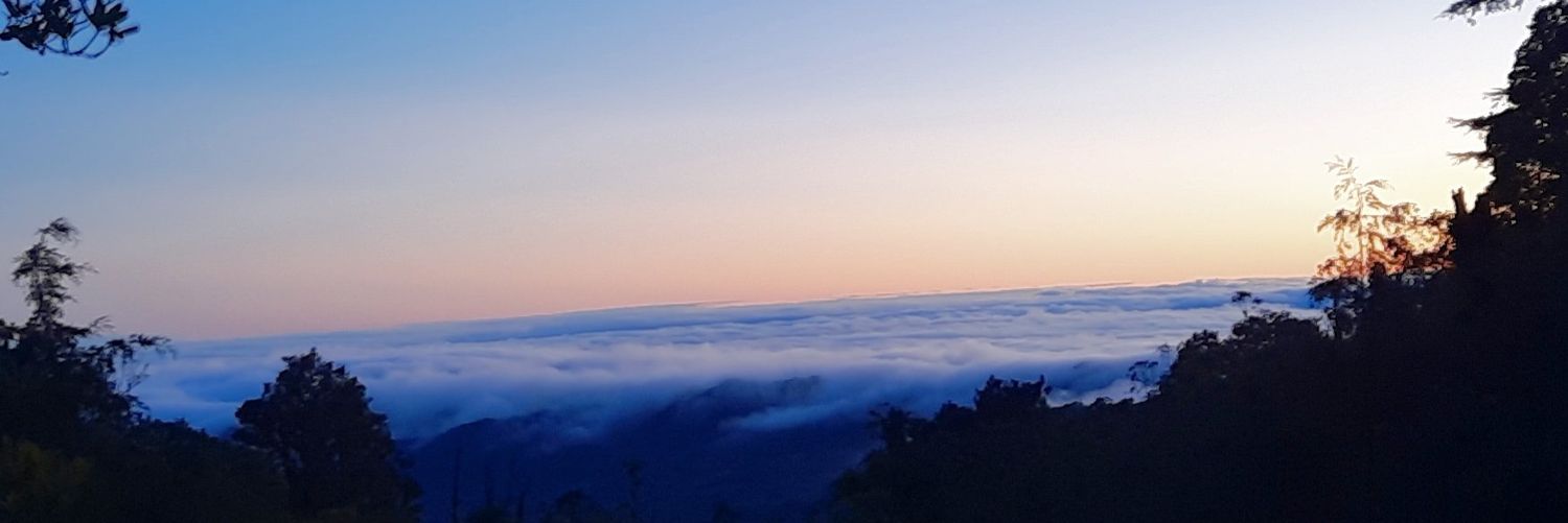 MBlizzy19's profile banner image