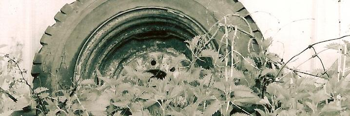 aadaubs's profile banner image