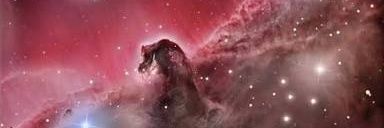 Martinmetal1's profile banner image