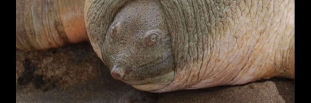 Tesstisss's profile banner image