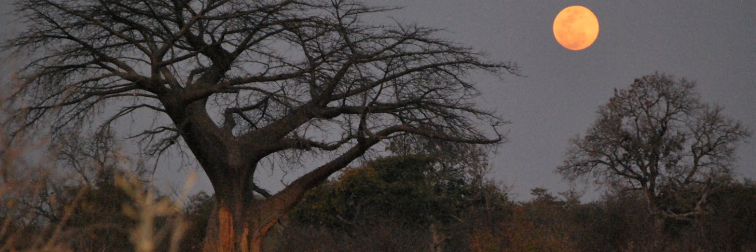 GodMakerScribe's profile banner image